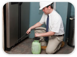 pest treatment pest treatment